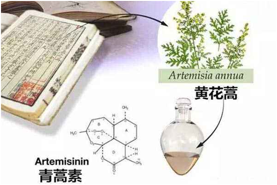 安博体育在线,安博体育在线（中国）：向中医药看齐，与世界共享中医药文化(图1)